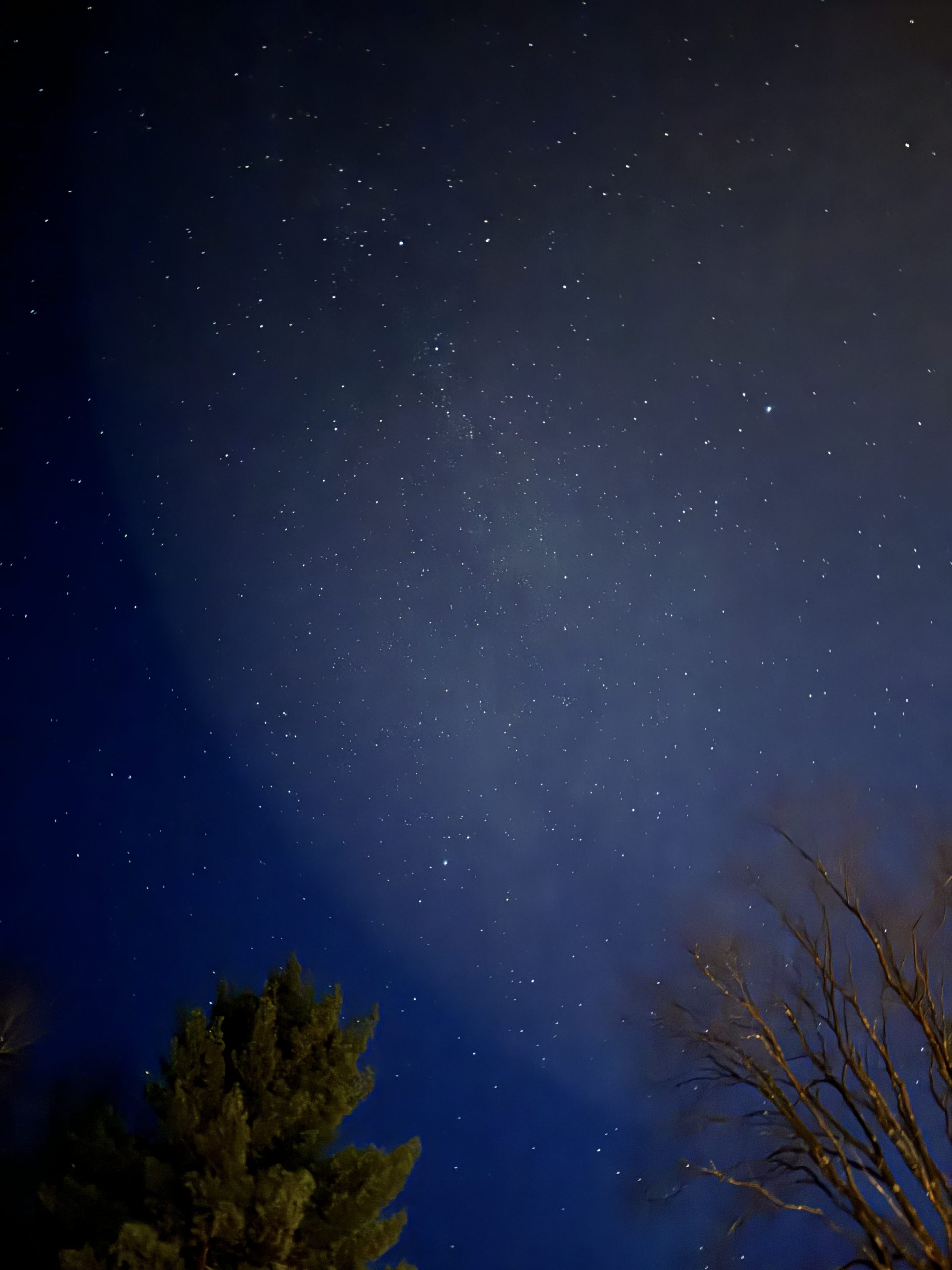 022 Amanda Palar Greenwood Rd Cook Forest Forest County | Visit PA ...