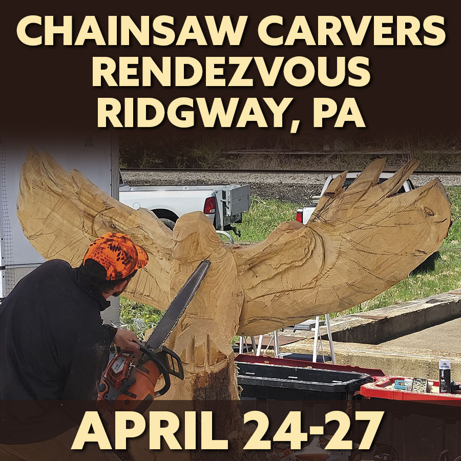 Chainsaw carvers near me