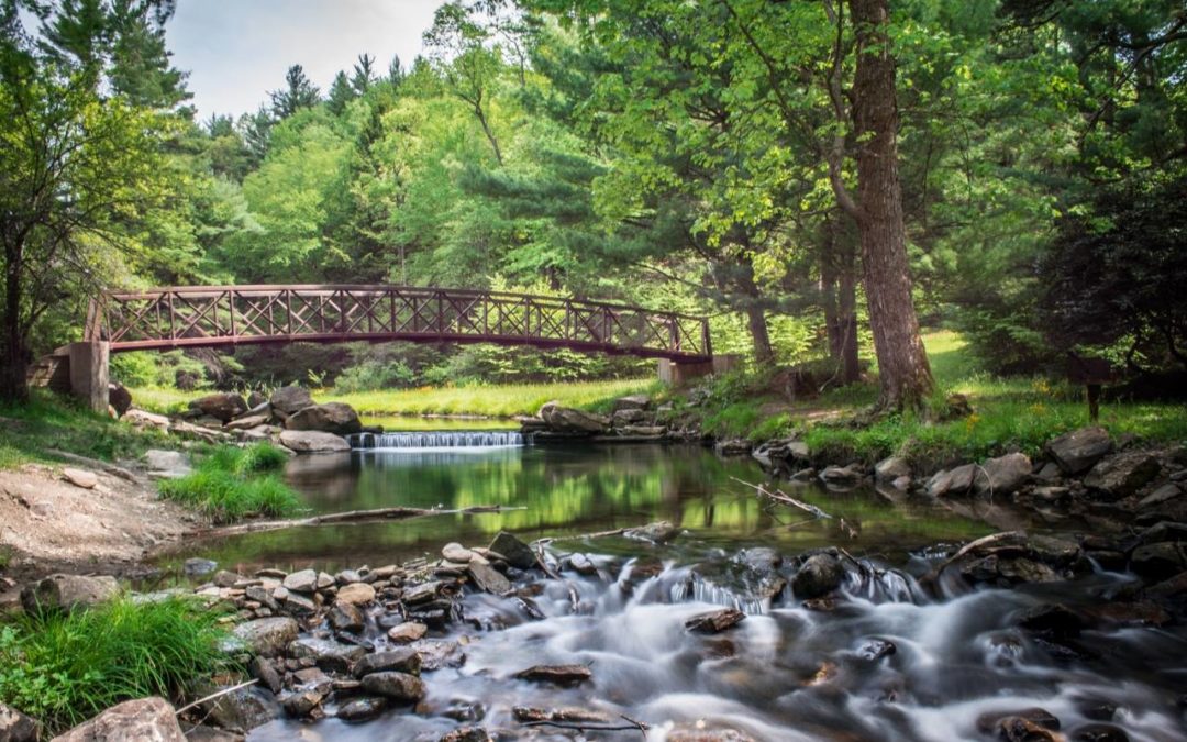 Clear Creek State Park