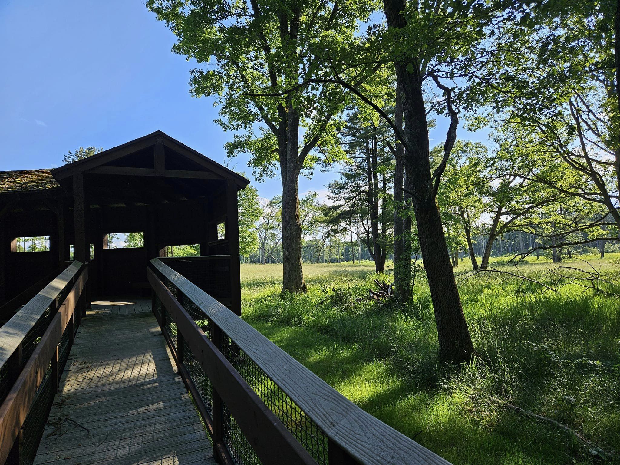 Hoover Farm Elk Viewing Area Blind ADA ramp-2 | Visit PA Great Outdoors