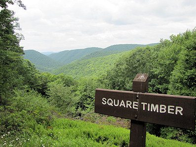 squaretimberwildarea