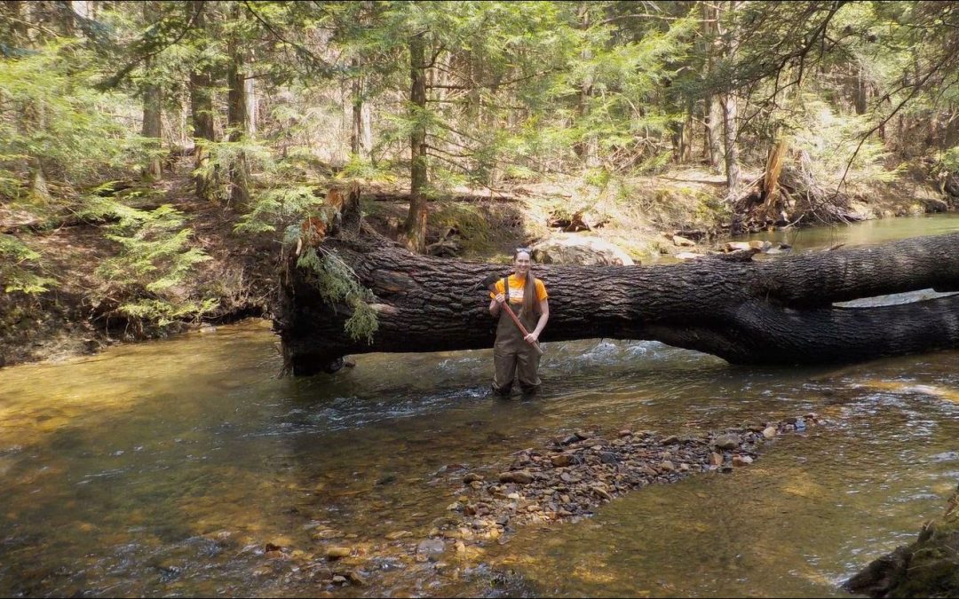 A Gift in Memory of Forest Landowners to Support Water Quality in the Allegheny National Forest
